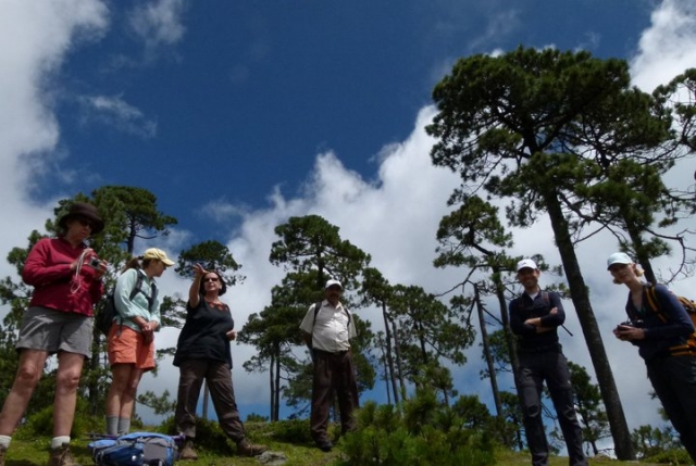  Aproveite a natureza 